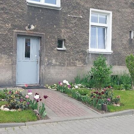 Apartament W Centrum Ниса Екстериор снимка